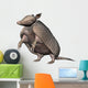 Armadillo Wall Decal
