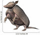 Armadillo Wall Decal