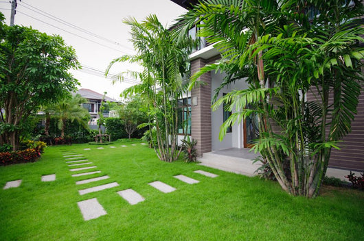 Modern House Garden