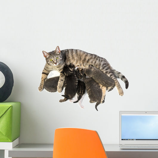 Cat Family - Cat and Her Kittens Wall Decal