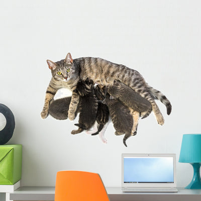 Cat Family Cat and Wall Decal shown on a wall