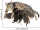 Cat Family - Cat and Her Kittens Wall Decal