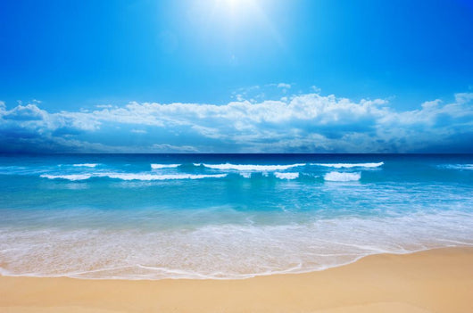Gorgeous Beach in Summertime Wall Mural