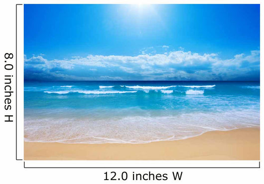 Gorgeous Beach in Summertime Wall Mural