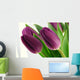 Purple tulips Wall Decal