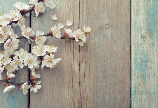 Beautiful Blossom Branch Wall Decal