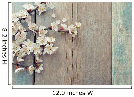 Beautiful Blossom Branch Wall Decal