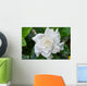White Gardenia Flower with