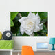 White Gardenia Flower with