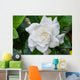 White Gardenia Flower with