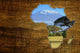 Africa Wildlife Map Design Wall Mural
