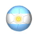 Argentina Soccer Ball Wall Decal