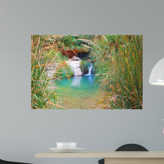 Small Waterfall Ein Gedi
