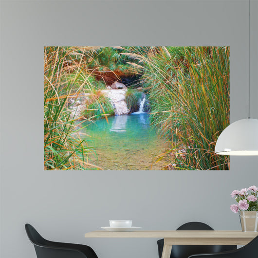 Small Waterfall Ein Gedi