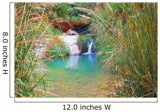 Small Waterfall Ein Gedi
