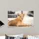 Portrait of beautiful lioness Wall Mural