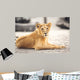 Portrait of beautiful lioness Wall Mural