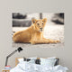 Portrait of beautiful lioness Wall Mural