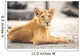 Portrait of beautiful lioness Wall Mural