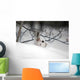 Snowshoe Hare Hiding Wall Decal