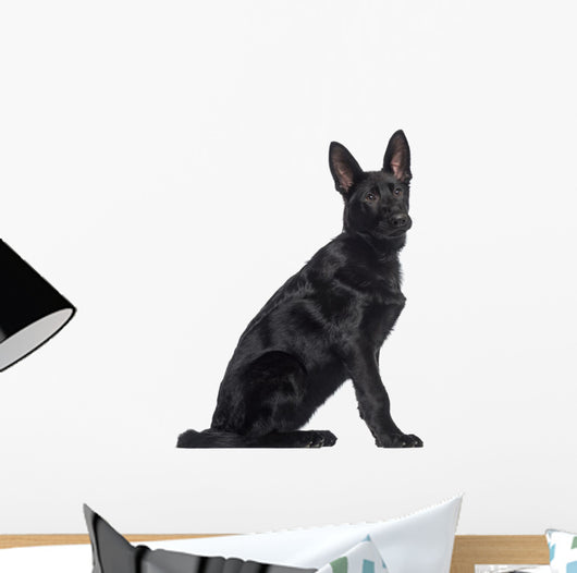 Side German Shepherd Dog