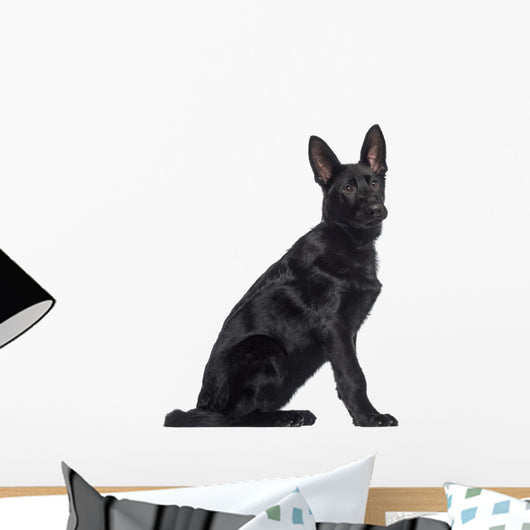 Side German Shepherd Dog