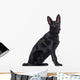 Side German Shepherd Dog