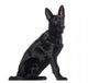 Side German Shepherd Dog