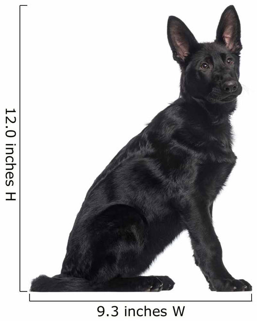 Side German Shepherd Dog