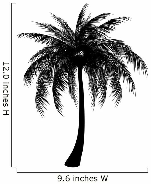 Silhouette Palm