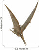 Pteranodon