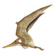 Flying Pteranodon Wall Decal