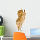 Spitz 3 Years Wall Mural