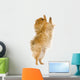 Spitz 3 Years Wall Mural