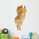 Spitz 3 Years Wall Mural