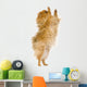 Spitz 3 Years Wall Mural