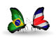 Two Butterflies with Flags  Brazil and Costa Rica Wall Decal