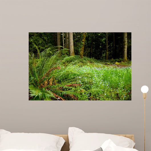 washington trails Wall Mural