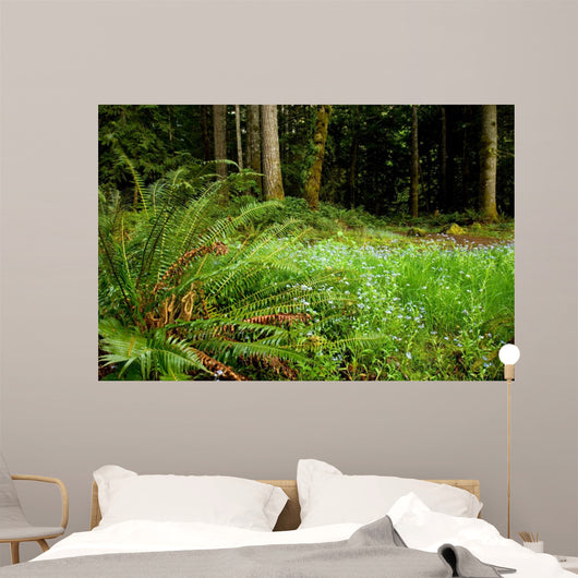 washington trails Wall Mural