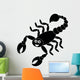Scorpion Shadow
