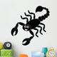 Scorpion Shadow
