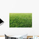 Lawn Wall Decal