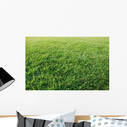 Lawn Wall Decal