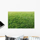 Lawn Wall Decal