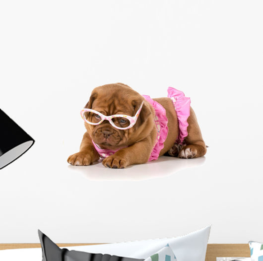 Dog in Bikini Wall Decal