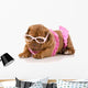 Dog in Bikini Wall Decal