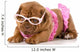 Dog in Bikini Wall Decal
