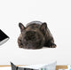 French Bulldog Wall Decal