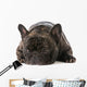 French Bulldog Wall Decal