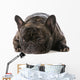 French Bulldog Wall Decal